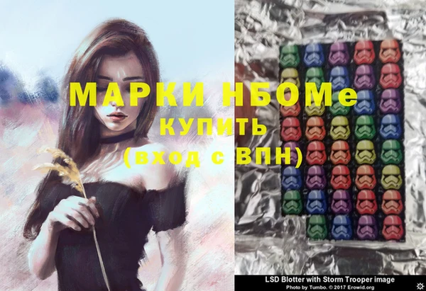 индика Армянск