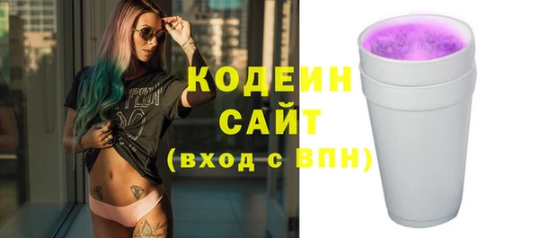 индика Армянск